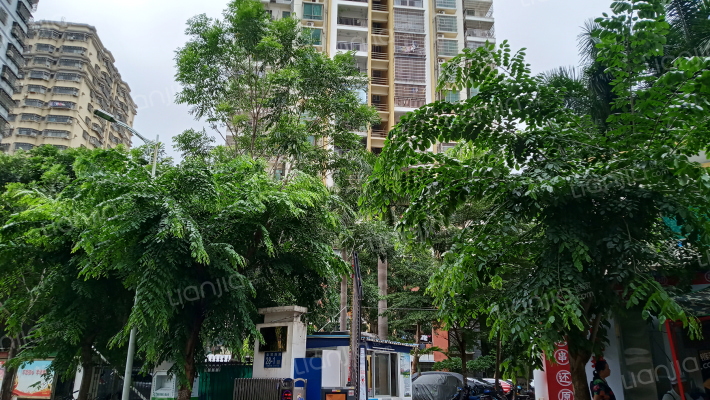 世贸天骄外景图