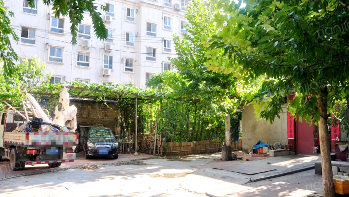 化肥厂宿舍南院外景图