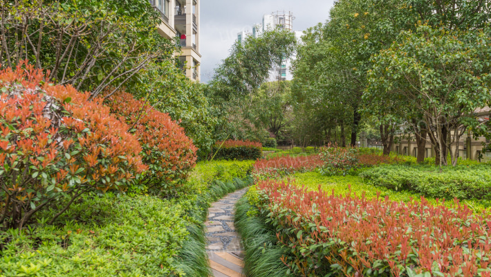 浅水湾恺悦名城外景图