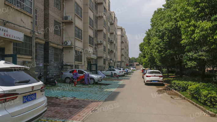 万豪绿城西区外景图