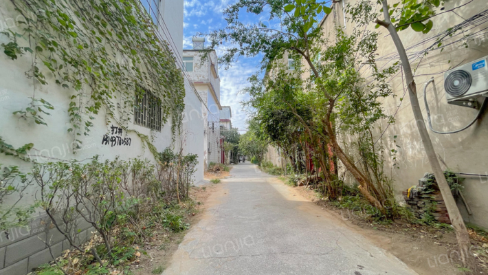 翠林山庄外景图