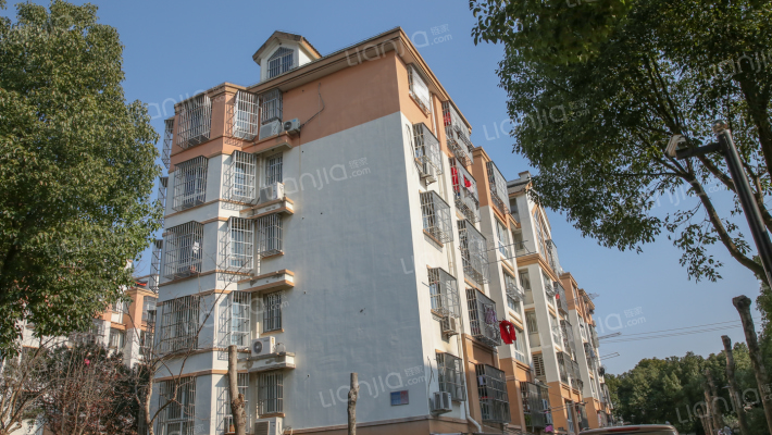 集善新村外景图