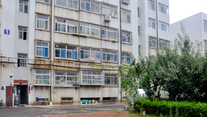 金帆服装外景图