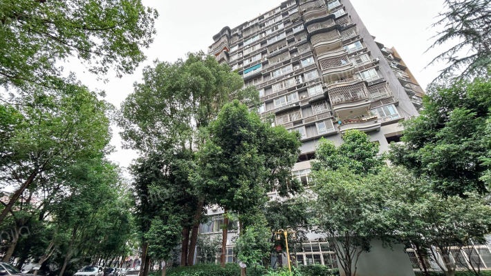 金剑路420号附20号外景图