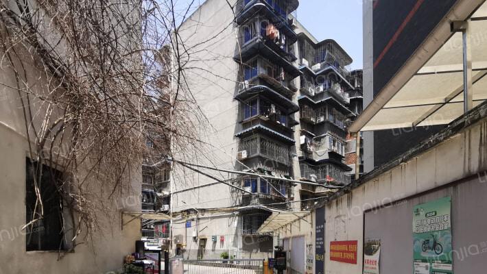 群星路1号外景图