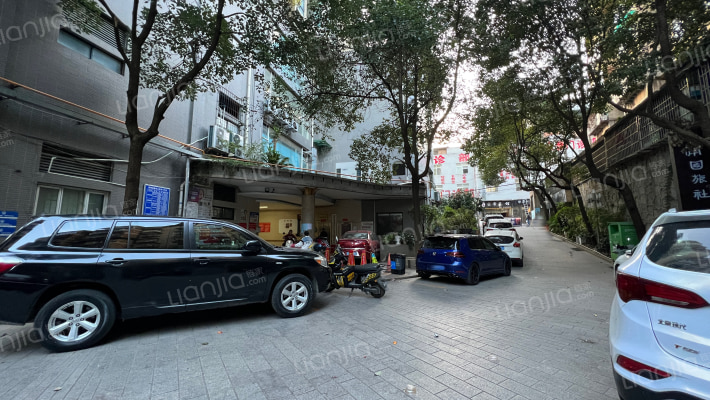 香樟南国外景图