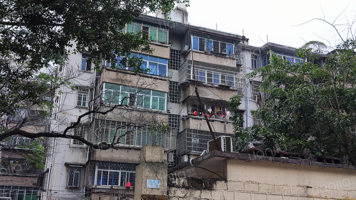 市建材总公司宿舍外景图