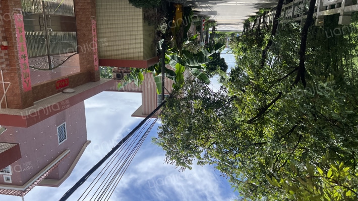 新涌下街外景图