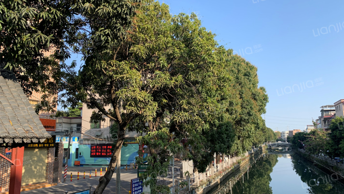 容桂单家海尾社区外景图