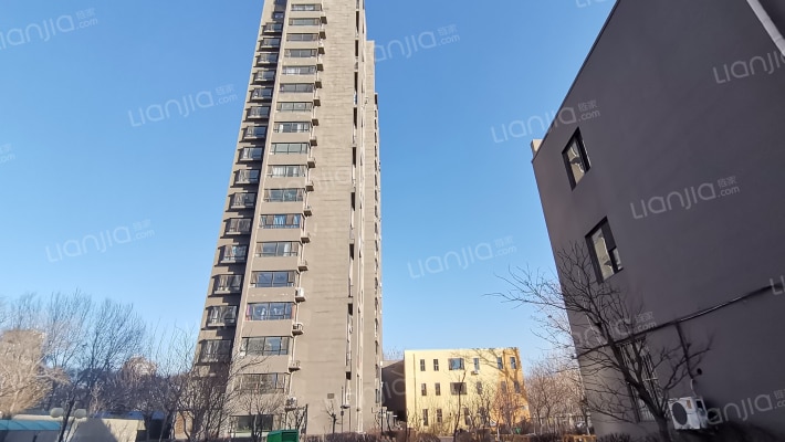 东河金都外景图