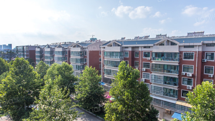 翟家小区外景图