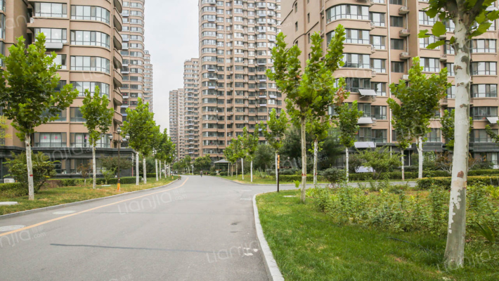 国茂·绿都皇城外景图