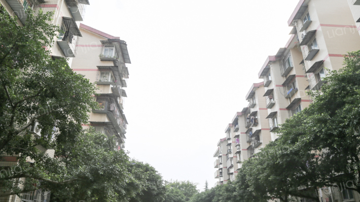 南山花园C区外景图