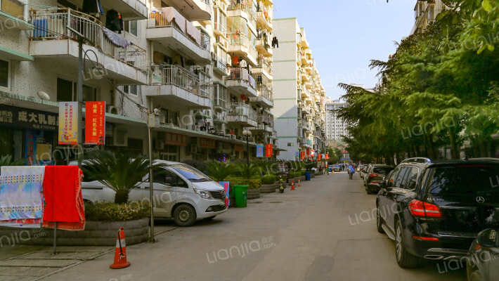 紫菘花园外景图