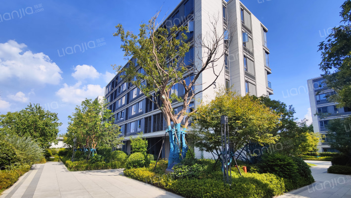 绿城·云栖桃花源外景图