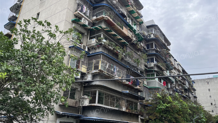 经天路6号外景图