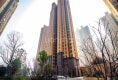 中建汤逊湖壹号2