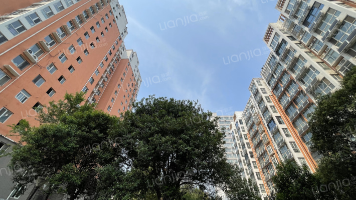 城市新秀外景图