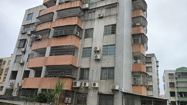 金坑中路19号外景图