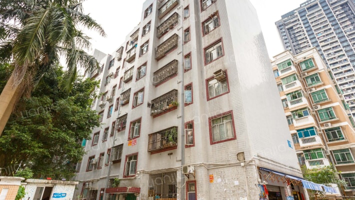 暗径东村外景图