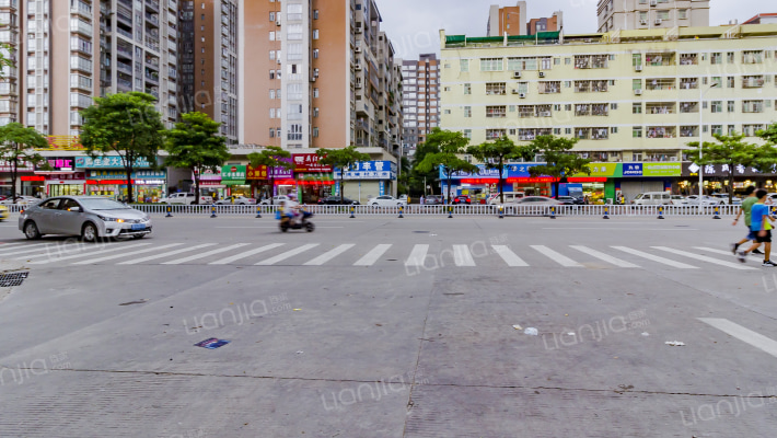 茶花小居外景图