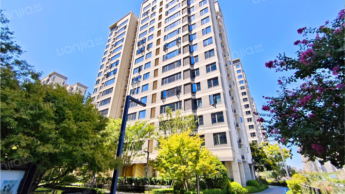 学樘金茂悦外景图