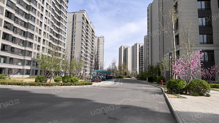 金融街金悦府外景图