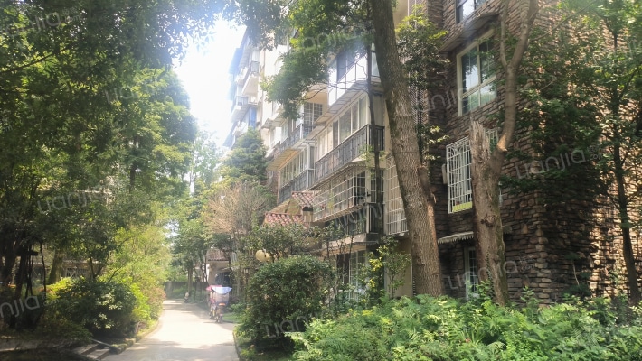 中城美山居外景图