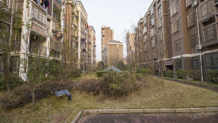 绿洲茗苑外景图