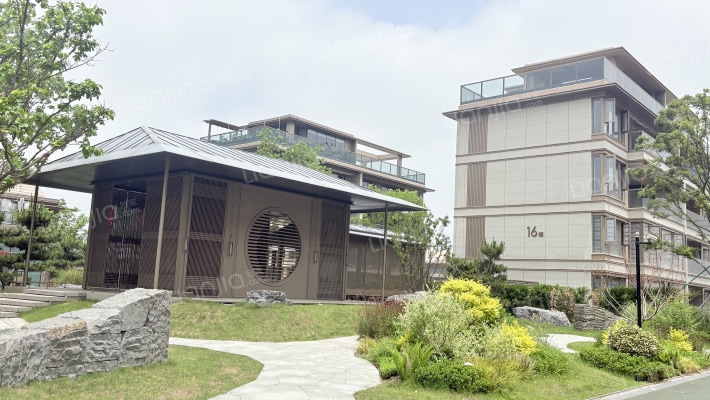 绿城紫薇花开外景图