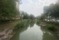 金桂家园8