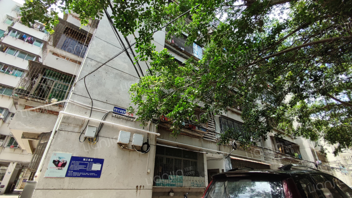 市统计局宿舍外景图