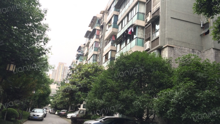 一品天下A区外景图