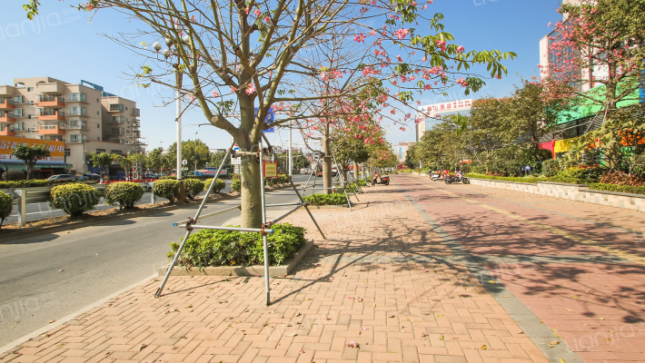 壹加壹兴和隽园外景图