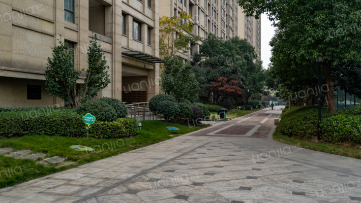 观澜豪庭外景图