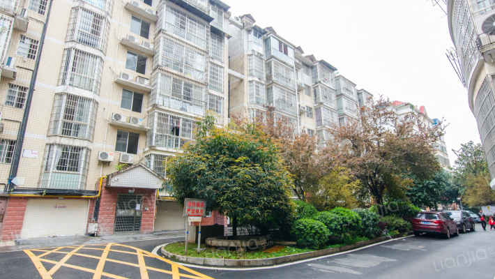 都市春天外景图