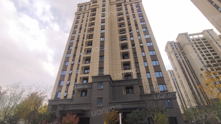 中建开元御湖公馆外景图