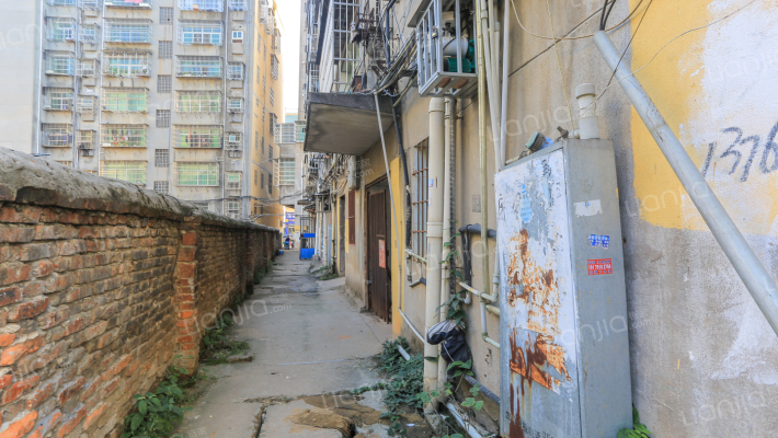 皮肤医院单位集资房外景图