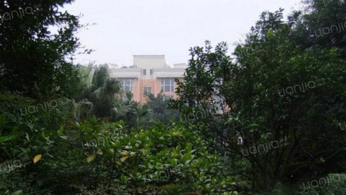 金城花园外景图