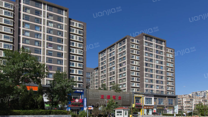 龙德紫金外景图