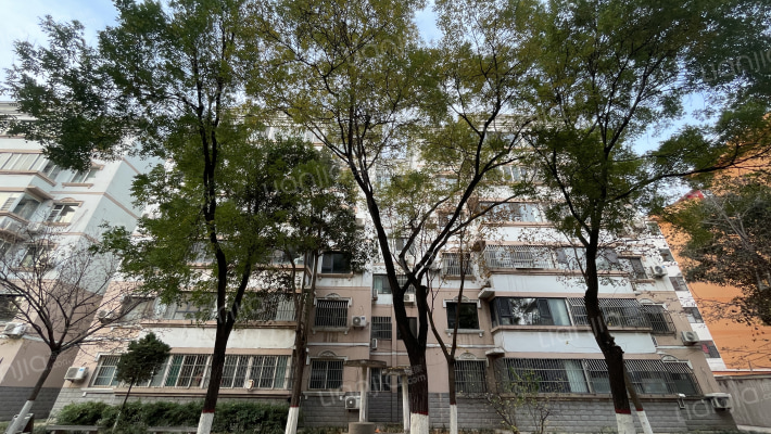 金色花园外景图