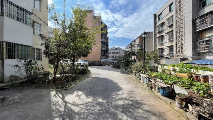 景秀星城外景图