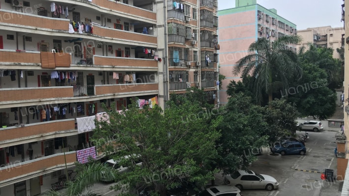 金稻田公寓外景图