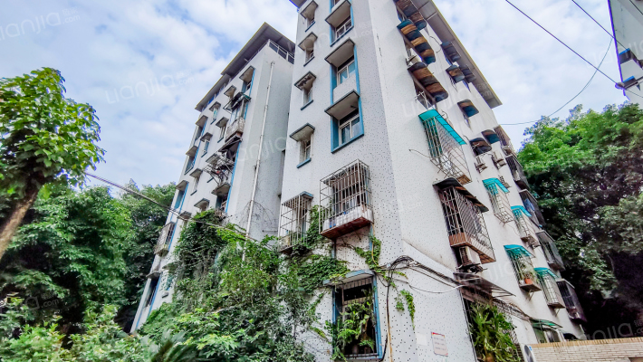 税务局渝州路税务所外景图