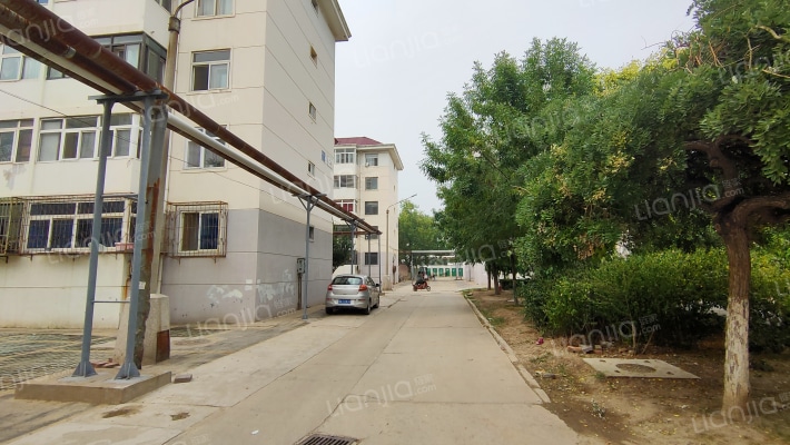 石油新村四区外景图