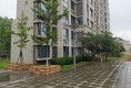 大连天地悦翠台11