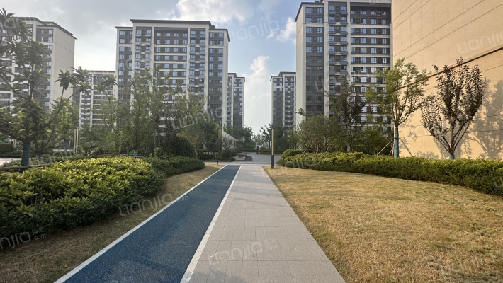 禹洲林海天城外景图