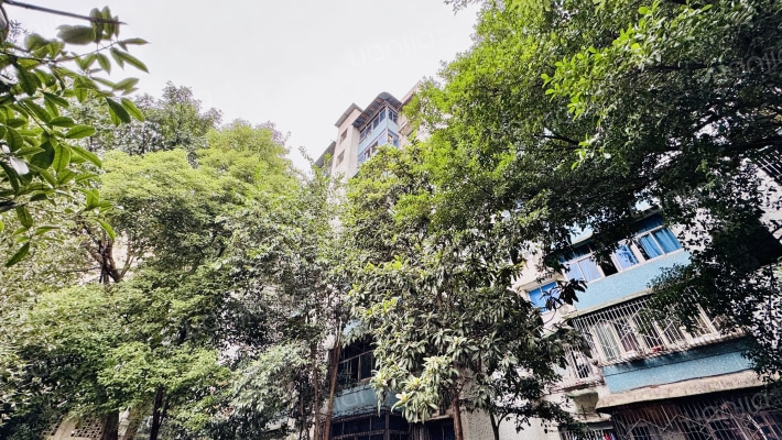 渝州路39号外景图