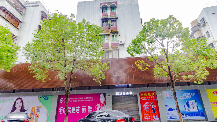 康乐大街外景图