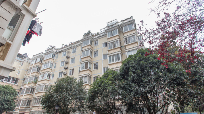 鼎建花园外景图